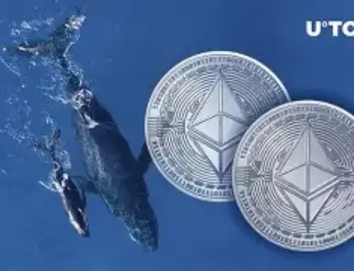 Ethereum Whales Mask a 2022 Bear Market Warning