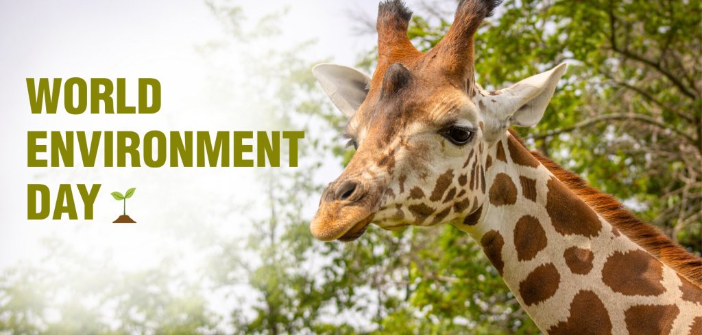 African Safari Wildlife Park celebrates World Environment Day with local conservation donation