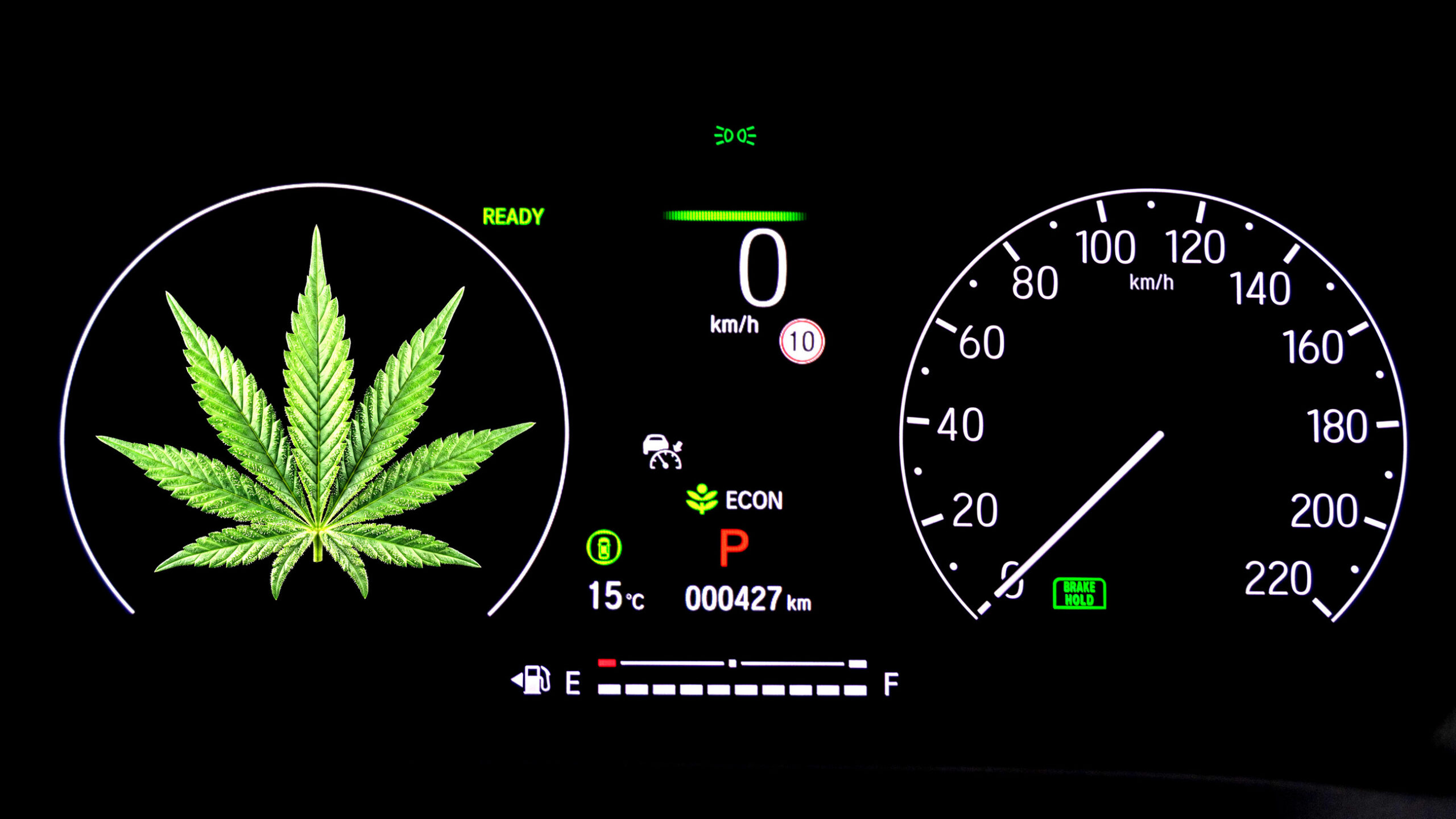 Australia Picked A Number For How Stoned Is Too Stoned To Drive Australia Picked A Number For How Stoned Is Too Stoned To Drive