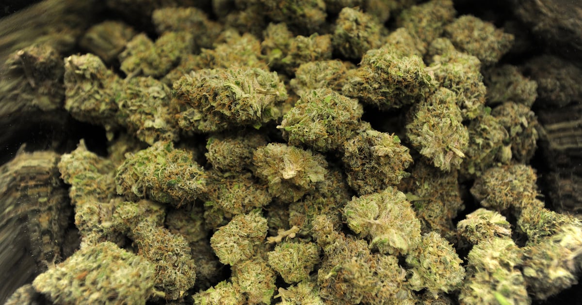 Opinion: Cannabis, medicine and the crisis of public trust Opinion: Cannabis, medicine and the crisis of public trust