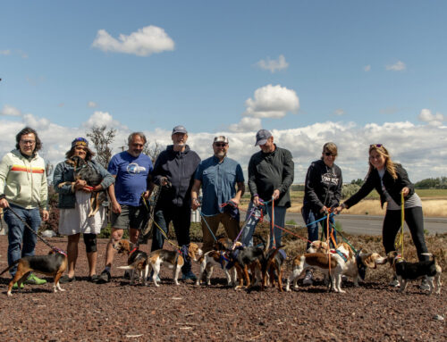 Hyundai Powers Operation Frodo All-Electric Cross-Country Dog Rescue Mission with IONIQ 9