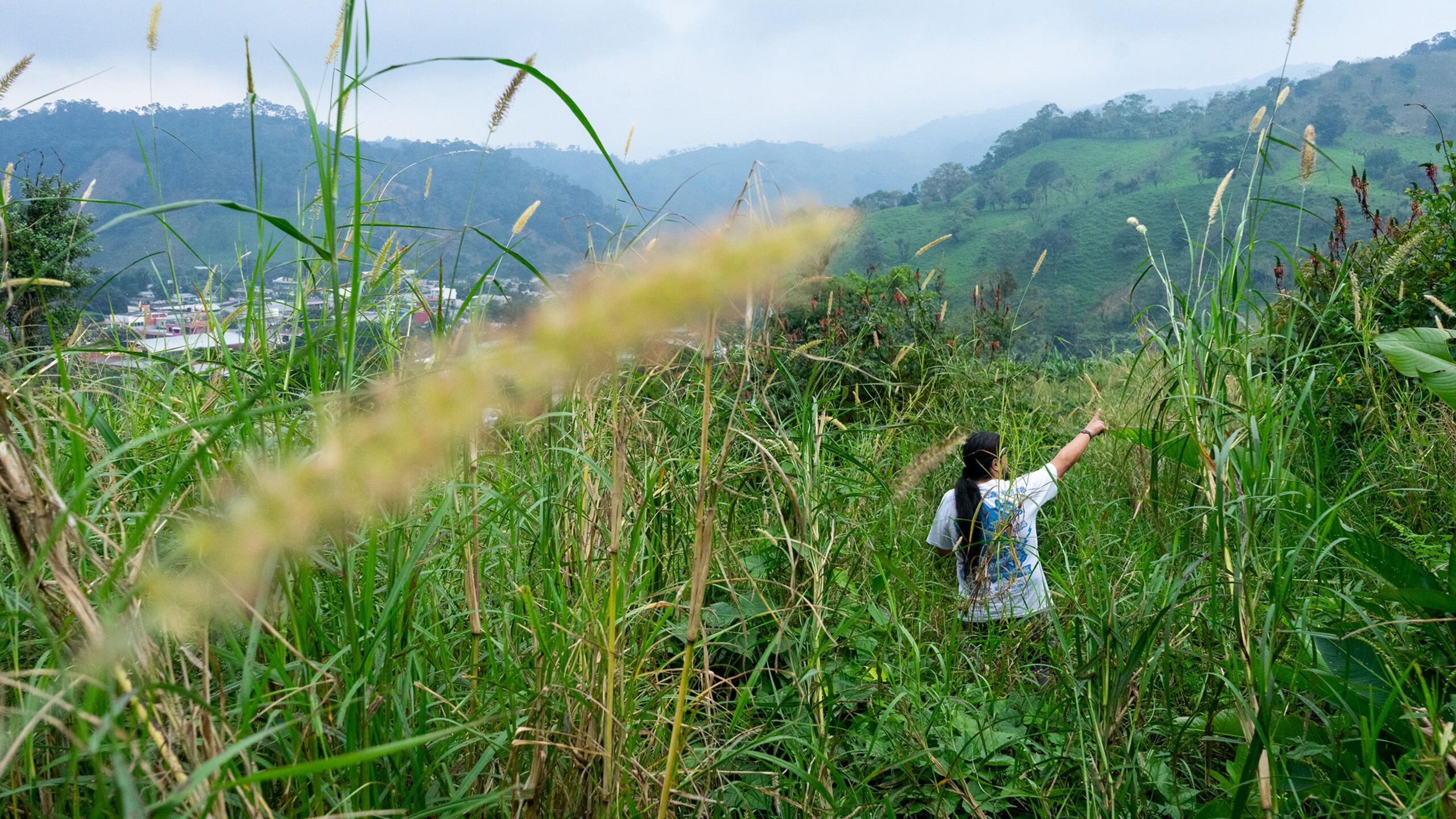 Madre Tierra: Indigenous Environmental Defenders in Latin America Are Fighting For Their Land