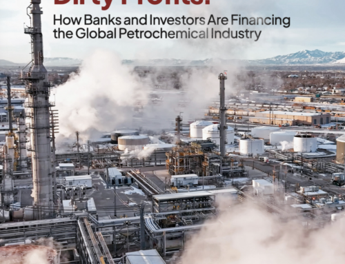 Banks Pump Over US$250 Billion Into Petrochemicals Despite Growing Industry Risks – Center for International Environmental Law