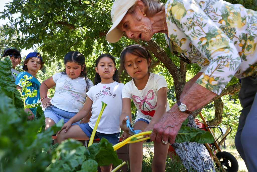 Sonoma Ecology Center teaching kids about the environment through summer camps Sonoma Ecology Center teaching kids about the environment through summer camps