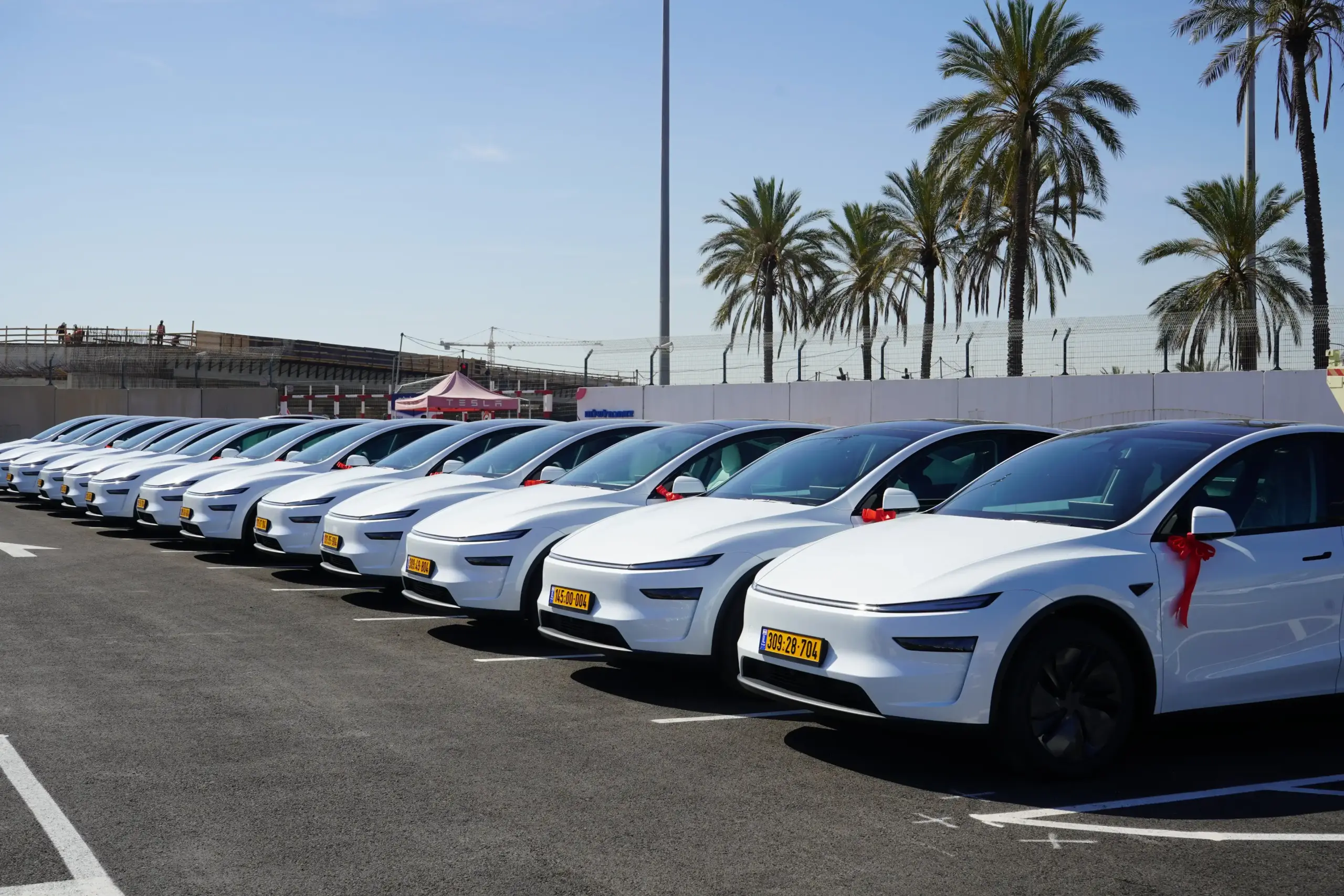 Tesla Ranks Second in Israel EV Sales Through May as FSD Awaits