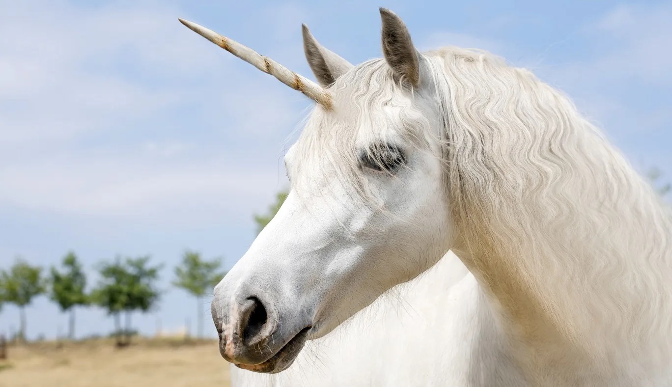 Your MBA Probably Won’t Help You Build A Unicorn. Here’s The Data Your MBA Probably Won’t Help You Build A Unicorn. Here’s The Data