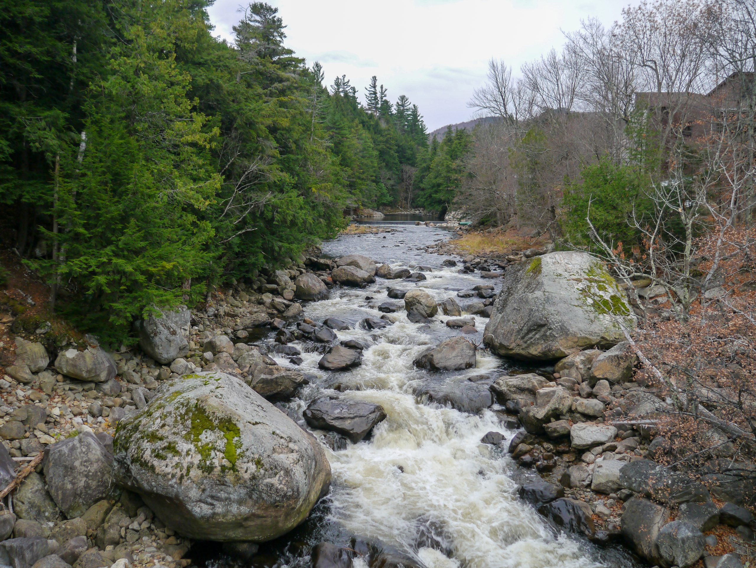 A local’s global perspective on the Ausable A local’s global perspective on the Ausable