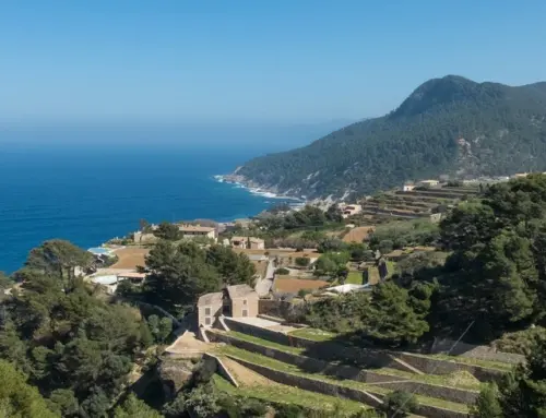 Balearic Islands freeze fast-track permitting route for new renewables