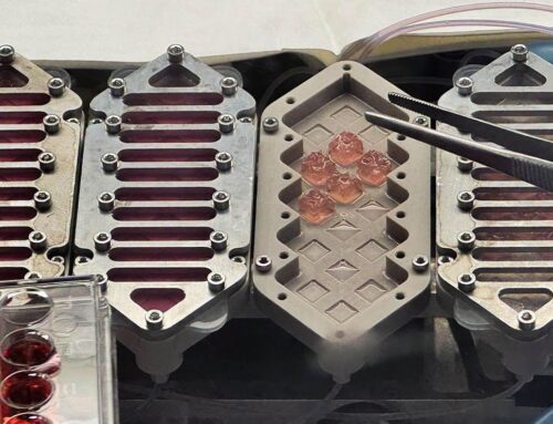 Boise State engineers to send experiment on SpaceX mission to study bone health
