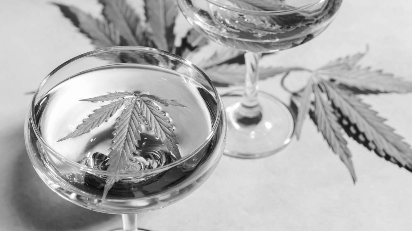 Cannabis Hospitality Leading the Evolution of Cannabis Culture