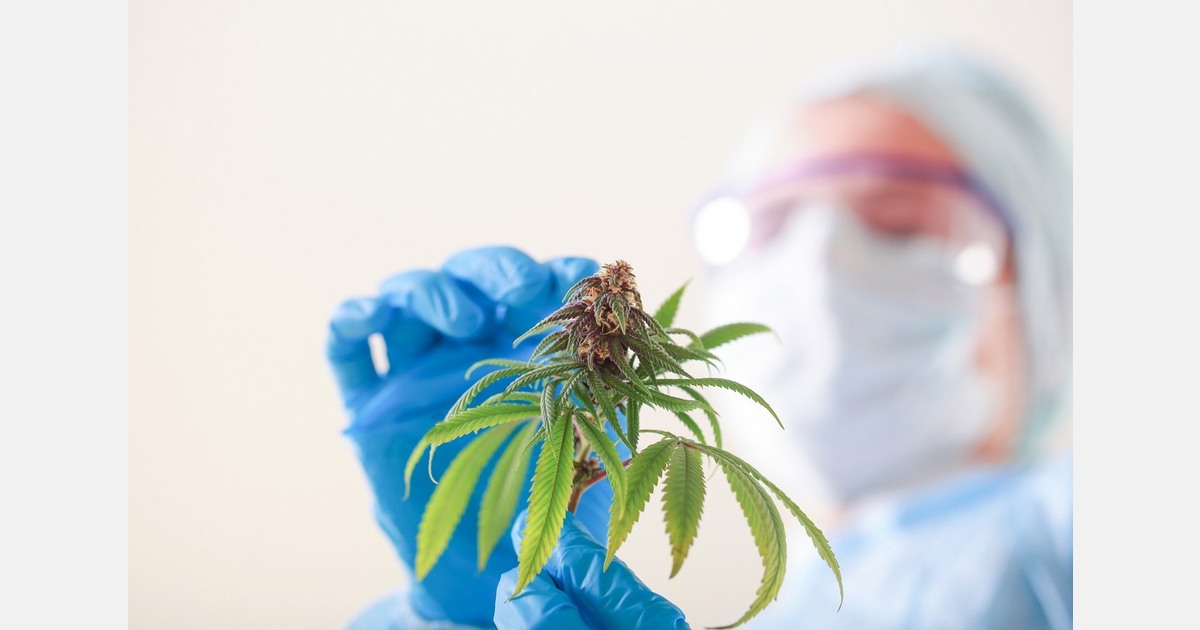 US (AL): New cannabis clinic coming in Montgomery