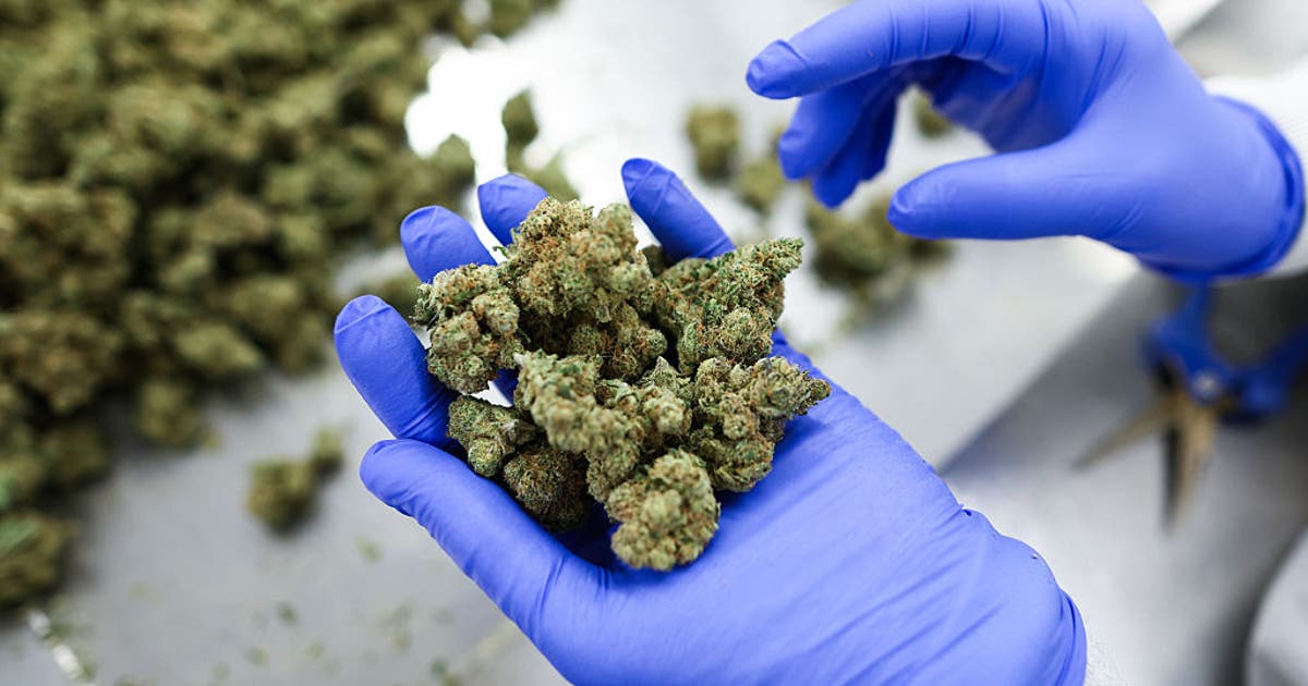 TSA updates medical marijuana travel guidance for air passengers
