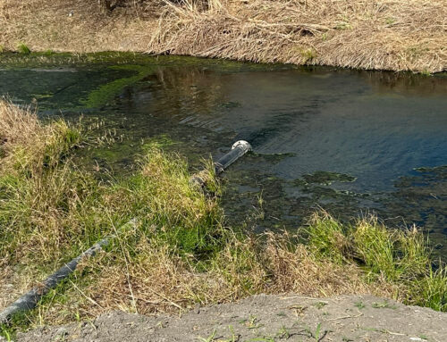 A drainage ditch and Tesla’s lithium refinery reveal Texas’ permissive permitting for industrial wastewaters