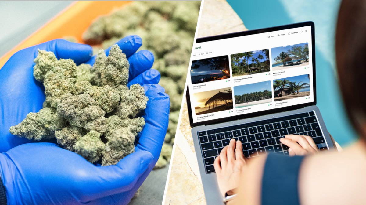 LA voters approve higher taxes on unlicensed cannabis shops, online travel sites LA voters approve higher taxes on unlicensed cannabis shops, online travel sites