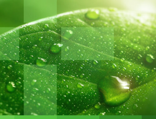 Make Sustainability Easier by Bundling RECs and Offsets