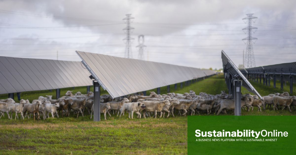 Mars achieves 100% renewable electricity across US operations