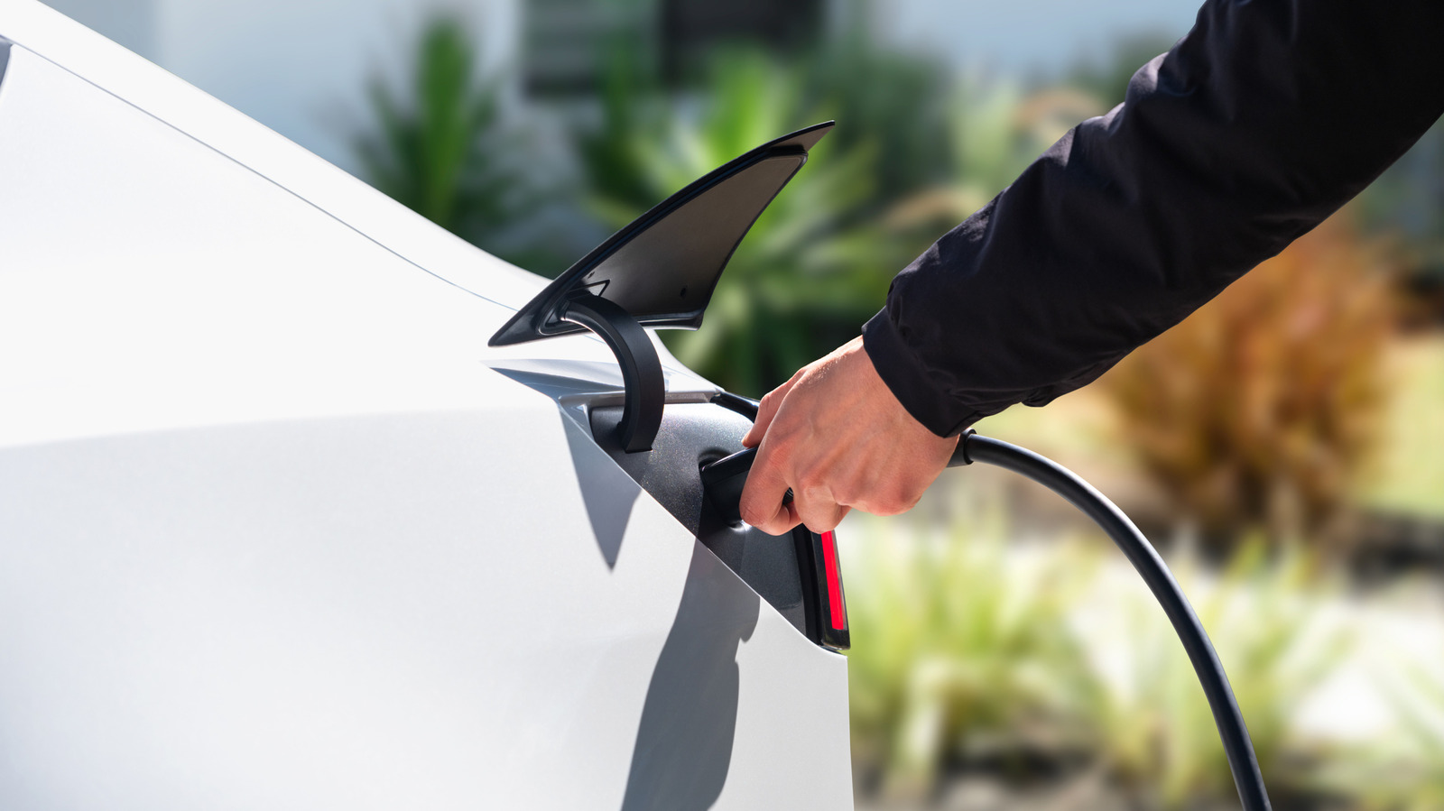 This Electric Car Has The Consumer Reports Recommendation Badge For A Good Reason This Electric Car Has The Consumer Reports Recommendation Badge For A Good Reason