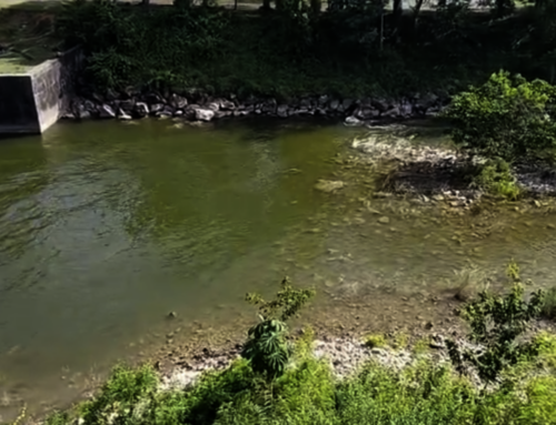 Communities in the Dominican Republic Call for Environmental Accountability on World Environment Day