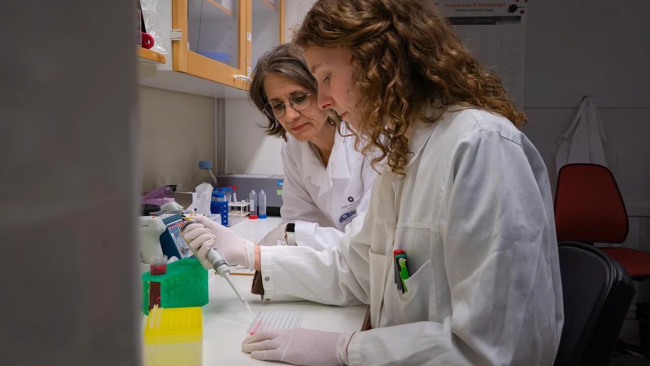 Study shows how the fetal environment may reduce the risk of type 1 diabetes